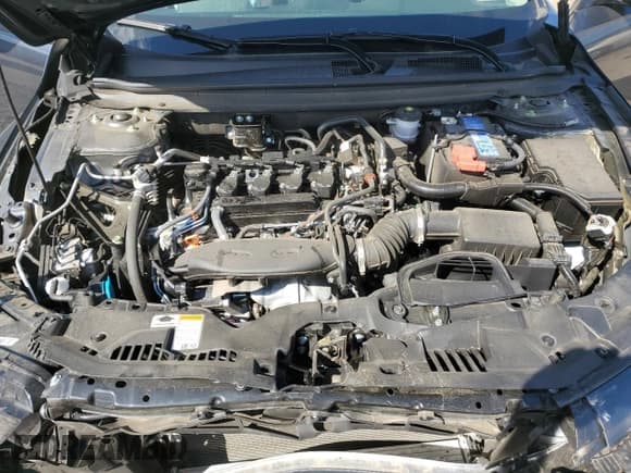 ✅ 2025 Honda Accord LX • VIN: 1HGCY1F20SA006173 • Lot: 85913115. Wystawiony na Copart z przebiegiem 16 448 mil. Bezpłatny archiwum sprzedaży aukcyjnych z USA i szczegółowy raport historii pojazdu na DreamBid. Zdjęcie 11.