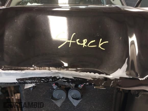 ✅ 2010 Dodge 1500 TRX • VIN: 1D7RV1GT1AS187582 • Lot: 42508702. Wystawiony na IAAI z przebiegiem 162 650 mil. Bezpłatny archiwum sprzedaży aukcyjnych z USA i szczegółowy raport historii pojazdu na DreamBid. Zdjęcie 10.