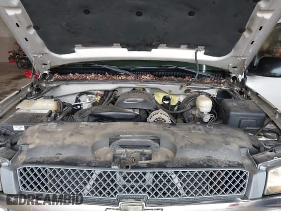 ✅ 2005 Chevrolet Silverado 1500 Work Truck • VIN: 1GCEK14Z85Z274774 • Лот: 42986733. Опубликован ранее на IAAI с пробегом 205 426 миль. Бесплатный доступ к архиву аукционных продаж из США и подробный отчёт об истории автомобиля на DreamBid. Изображение 10.