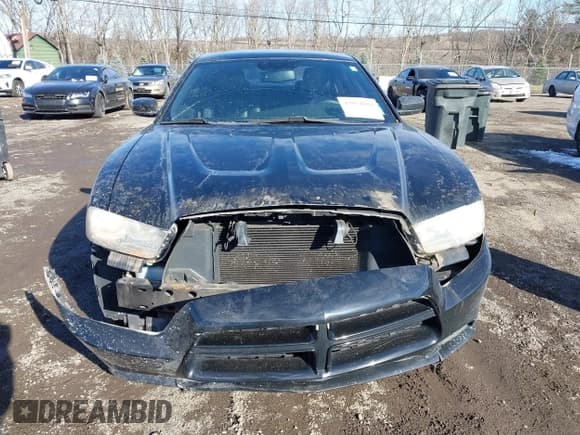✅ 2012 Dodge Charger SXT • VIN: 2C3CDXHG4CH191082 • Лот: 43820684. Опубликован ранее на IAAI с пробегом 183 614 миль. Бесплатный доступ к архиву аукционных продаж из США и подробный отчёт об истории автомобиля на DreamBid. Изображение 6.