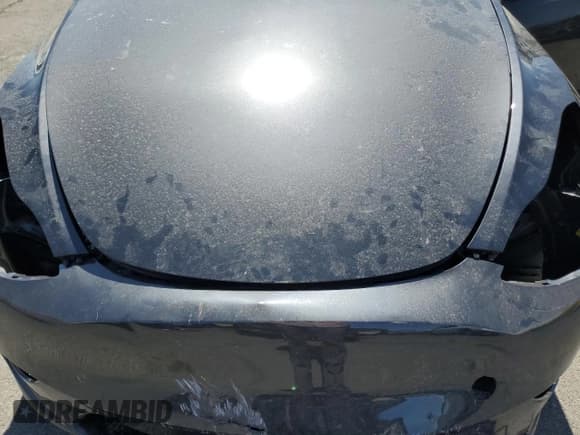 ✅ 2025 Tesla Model Y Long Range • VIN: 7SAYGDED2SF266130 • Lot: 80688045. Wystawiony na Copart z przebiegiem 7 556 mil. Bezpłatny archiwum sprzedaży aukcyjnych z USA i szczegółowy raport historii pojazdu na DreamBid. Zdjęcie 11.