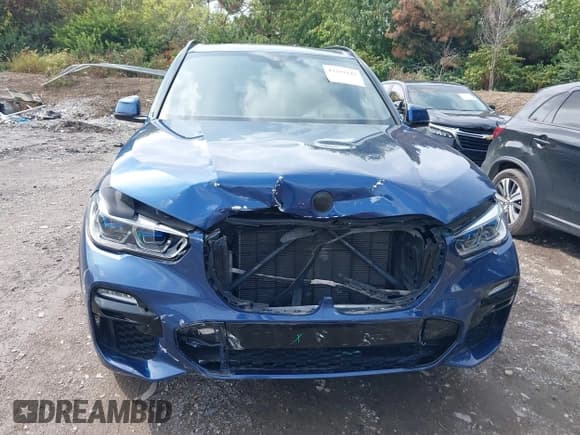 ✅ 2019 BMW X5 xDrive50i • VIN: 5UXJU2C54KLN49907 • Лот: 43281101. Опубликован ранее на IAAI с пробегом 53 335 миль. Бесплатный доступ к архиву аукционных продаж из США и подробный отчёт об истории автомобиля на DreamBid. Изображение 12.