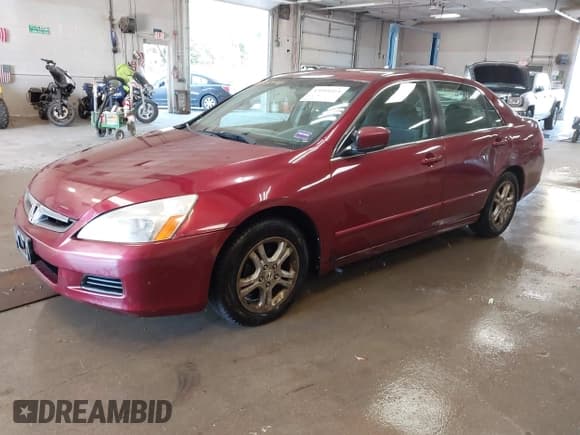 ✅ 2006 Honda Accord LX SE • VIN: 1HGCM56306A164031 • Lot: 43004164. Listed on IAAI with 196,955 mi. Free auction sales archive from the USA and detailed vehicle history report at DreamBid. Image 2.