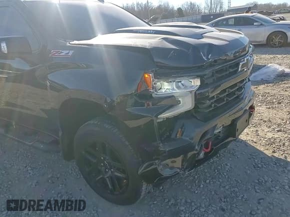 ✅ 2023 Chevrolet Silverado 1500 LT Trail Boss • VIN: 3GCUDFE84PG273892 • Lot: 46909745. Wystawiony na Copart z przebiegiem 59 466 mil. Bezpłatny archiwum sprzedaży aukcyjnych z USA i szczegółowy raport historii pojazdu na DreamBid. Zdjęcie 11.