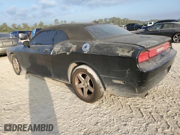 ✅ 2010 Dodge Challenger SE • VIN: 2B3CJ4DV2AH184041 • Lot: 78199344. Wystawiony na Copart z przebiegiem 225 838 mil. Bezpłatny archiwum sprzedaży aukcyjnych z USA i szczegółowy raport historii pojazdu na DreamBid. Zdjęcie 2.