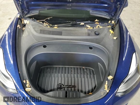 ✅ 2023 Tesla Model 3 Long Range • VIN: 5YJ3E1EB7PF691604 • Lot: 85392735. Wystawiony na Copart z przebiegiem 51 815 mil. Bezpłatny archiwum sprzedaży aukcyjnych z USA i szczegółowy raport historii pojazdu na DreamBid. Zdjęcie 11.