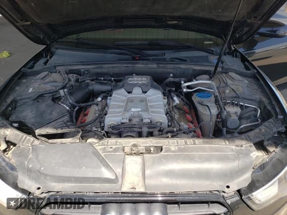 ✅ 2015 Audi S5 Prestige • VIN: WAUVGAFR6FA061687 • Lot: 53885005. Listed on Copart with 60,741 mi. Free auction sales archive from the USA and detailed vehicle history report at DreamBid. Image 11.