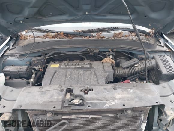 ✅ 2008 Honda Pilot EX-L • VIN: 5FNYF18668B018368 • Lot: 43159609. Wystawiony na IAAI z przebiegiem 177 681 mil. Bezpłatny archiwum sprzedaży aukcyjnych z USA i szczegółowy raport historii pojazdu na DreamBid. Zdjęcie 10.