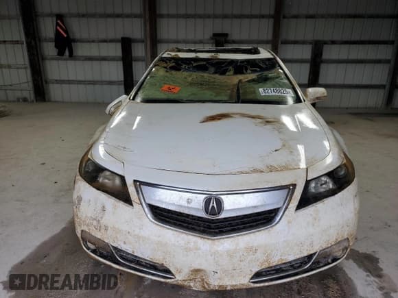 ✅ 2012 Acura TL Auto • VIN: 19UUA8F25CA034036 • Lot: 82748825. Listed on Copart with Not provided. Free auction sales archive from the USA and detailed vehicle history report at DreamBid. Image 5.