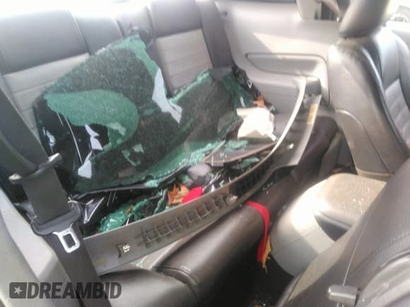 ✅ 2008 Ford Mustang GT Deluxe • VIN: 1ZVHT82H085159432 • Lot: 41028320. Listed on IAAI with 220,383 mi. Free auction sales archive from the USA and detailed vehicle history report at DreamBid. Image 8.