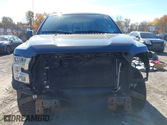 ✅ 2017 Ford F-150 XL • VIN: 1FTEW1EF0HFA69139 • Lot: 43505777. Wystawiony na IAAI z przebiegiem 135 596 mil. Bezpłatny archiwum sprzedaży aukcyjnych z USA i szczegółowy raport historii pojazdu na DreamBid. Zdjęcie 13.