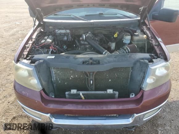 ✅ 2004 Ford F-150 STX • VIN: 1FTRX14W84NB22511 • Lot: 70489885. Wystawiony na Copart z przebiegiem 149 815 mil. Bezpłatny archiwum sprzedaży aukcyjnych z USA i szczegółowy raport historii pojazdu na DreamBid. Zdjęcie 11.