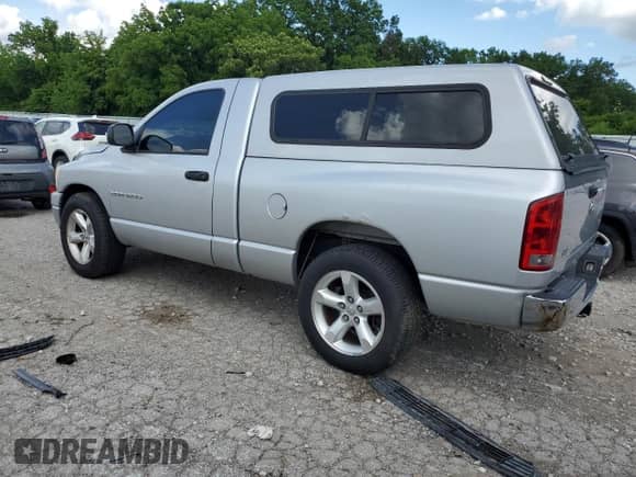2006 Dodge 1500 SLT with VIN 1D7HA16N86J152397, listed as a Copart auction lot 58801835 with 166,179 mi miles and Salvage title. Bid and sale history available at DreamBid. Image 2.