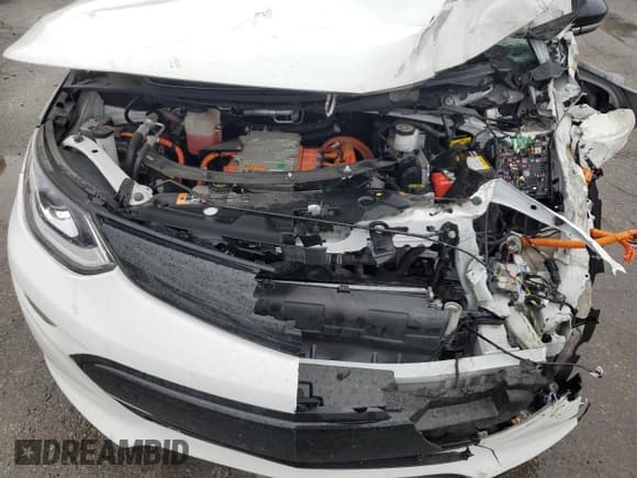 ✅ 2017 Chevrolet Bolt EV LT • VIN: 1G1FW6S04H4169797 • Lot: 45745454. Wystawiony na Copart z przebiegiem Nie podano. Bezpłatny archiwum sprzedaży aukcyjnych z USA i szczegółowy raport historii pojazdu na DreamBid. Zdjęcie 11.