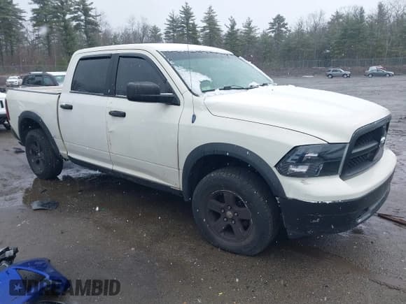 ✅ 2009 Dodge 1500 SLT • VIN: 1D3HV13P59S757293 • Lot: 41952020. Wystawiony na IAAI z przebiegiem 156 899 mil. Bezpłatny archiwum sprzedaży aukcyjnych z USA i szczegółowy raport historii pojazdu na DreamBid. Zdjęcie 1.