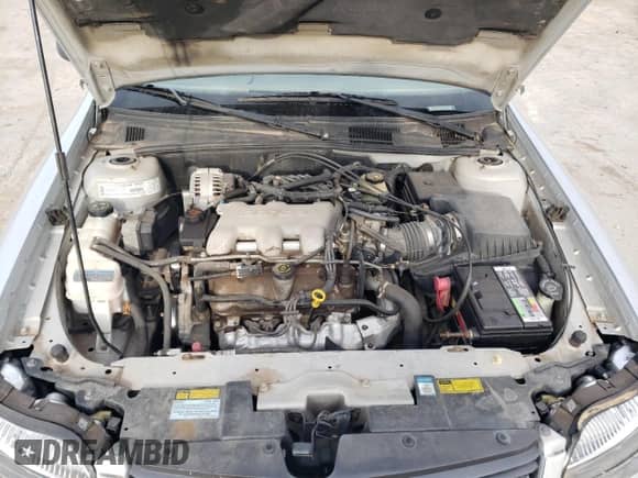 ✅ 2001 Chevrolet Malibu • VIN: 1G1ND52J116143379 • Lot: 51239125. Wystawiony na Copart z przebiegiem 164 620 mil mil. Skorzystaj z bezpłatnego archiwum sprzedaży aukcyjnych z USA i zobacz szczegółowy raport historii pojazdu na DreamBid. Zdjęcie 11.