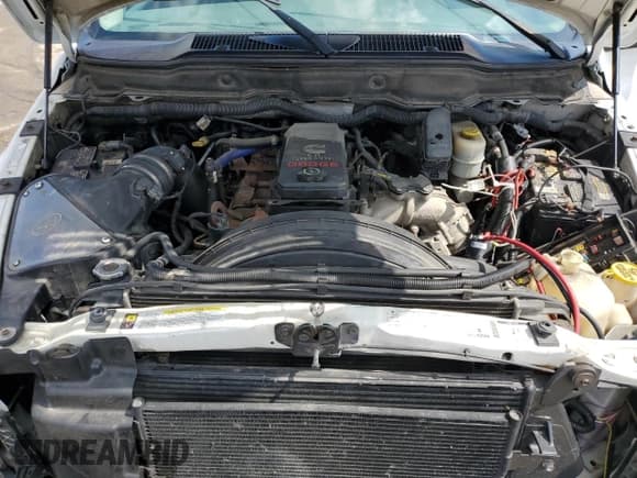 ✅ 2009 Dodge 2500 SLT • VIN: 3D7KS28L39G524304 • Лот: 70840925. Опубликован ранее на Copart с пробегом Не указан. Бесплатный доступ к архиву аукционных продаж из США и подробный отчёт об истории автомобиля на DreamBid. Изображение 11.