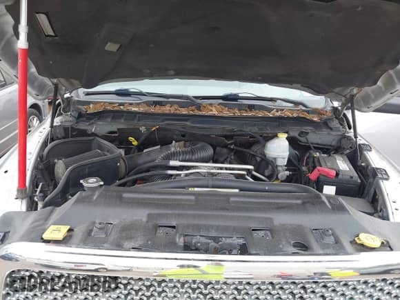 2010 Dodge 1500 Sport with VIN 1D7RV1CT8AS171546, listed as a IAAI auction lot 41836313 with 234,202 mi miles and . Bid and sale history available at DreamBid. Image 10.