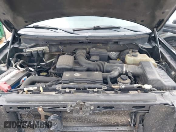 ✅ 2009 Ford F-150 XL • VIN: 1FTPW14V89FA39177 • Lot: 43050528. Listed on IAAI with 244,162 mi. Free auction sales archive from the USA and detailed vehicle history report at DreamBid. Image 10.