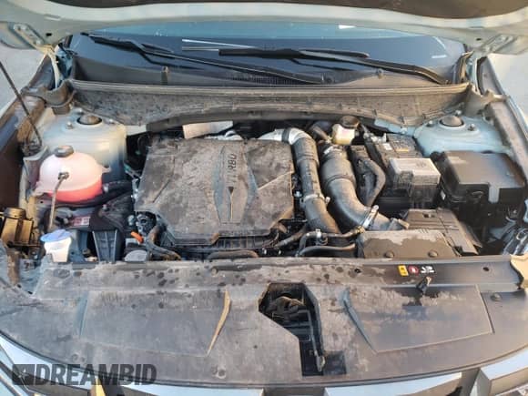 2024 Hyundai Santa Cruz XRT с VIN 5NTJDDAF9RH097820, выставлен на аукционе Copart как лот 85090994 с пробегом 14 963 миль миль и Списание • Salvage title. История ставок и продаж доступна на DreamBid. Изображение 12.