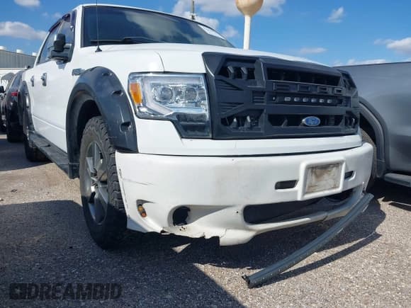 ✅ 2012 Ford F-150 XLT • VIN: 1FTEW1CM2CKE19579 • Lot: 43654970. Listed on IAAI with 195,624 mi. Free auction sales archive from the USA and detailed vehicle history report at DreamBid. Image 1.