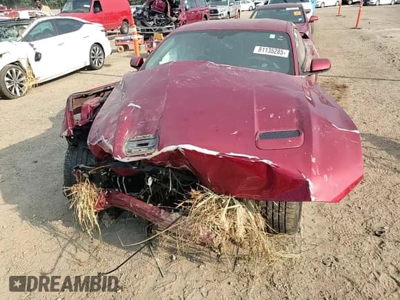 ✅ 2019 Ford Mustang GT Premium • VIN: 1FA6P8CF5K5166787 • Lot: 81135285. Listed on Copart with Not provided. Free auction sales archive from the USA and detailed vehicle history report at DreamBid. Image 14.