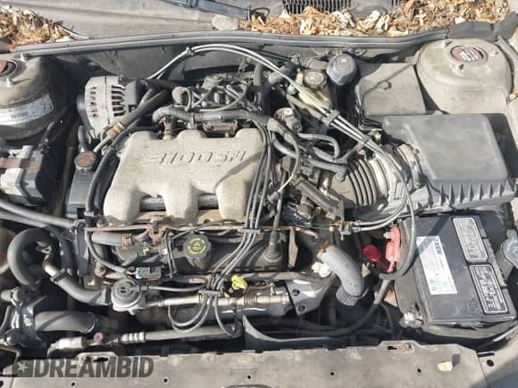 2000 Chevrolet Malibu с VIN 1G1ND52J9Y6131068, выставлен на аукционе IAAI как лот 41436575 с пробегом 111 844 миль миль и . История ставок и продаж доступна на DreamBid. Изображение 10.