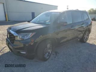 ✅ 2023 Honda Passport EX-L • VIN: 5FNYF8H50PB042311 • Lot: 81919995. Listed on Copart with 31,279 mi. Free auction sales archive from the USA and detailed vehicle history report at DreamBid. Image 1.