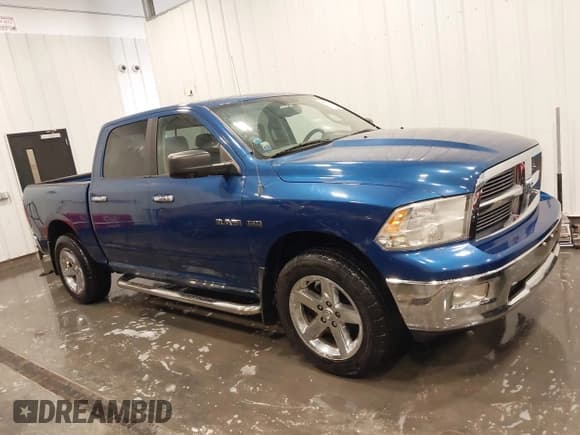 ✅ 2009 Dodge 1500 Laramie • VIN: 1D3HV13T69S734828 • Lot: 42571982. Wystawiony na IAAI z przebiegiem 285 185 mil. Bezpłatny archiwum sprzedaży aukcyjnych z USA i szczegółowy raport historii pojazdu na DreamBid. Zdjęcie 14.