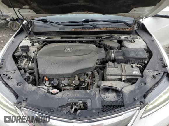 ✅ 2015 Acura TLX Technology • VIN: 19UUB2F55FA009324 • Лот: 58100015. Опубликован ранее на Copart с пробегом 140 456 миль. Бесплатный доступ к архиву аукционных продаж из США и подробный отчёт об истории автомобиля на DreamBid. Изображение 11.