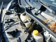 ✅ 2016 Smart fortwo Passion • VIN: WMEFJ5DA2GK126111 • Лот: 43595134. Опубликован ранее на IAAI с пробегом 30 270 миль. Бесплатный доступ к архиву аукционных продаж из США и подробный отчёт об истории автомобиля на DreamBid. Изображение 13.