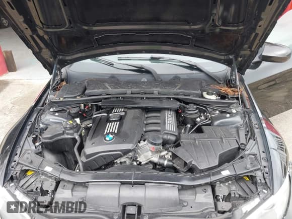 ✅ 2012 BMW 3 Series 328i • VIN: WBADW3C53CE822031 • Lot: 43887421. Listed on IAAI with 116,007 mi. Free auction sales archive from the USA and detailed vehicle history report at DreamBid. Image 10.