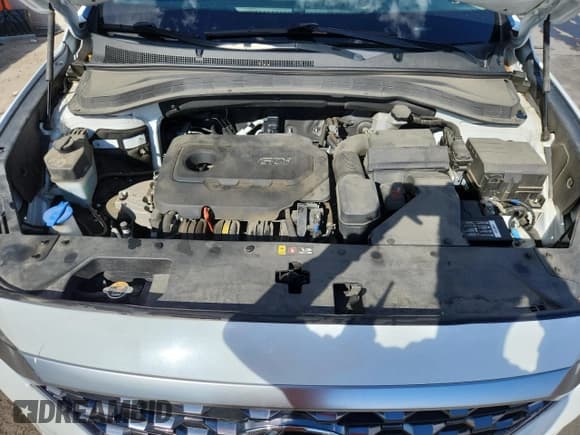 ✅ 2019 Hyundai Santa Fe SE • VIN: 5NMS2CAD6KH096533 • Лот: 80280145. Опубликован ранее на Copart с пробегом 68 044 миль. Бесплатный доступ к архиву аукционных продаж из США и подробный отчёт об истории автомобиля на DreamBid. Изображение 12.