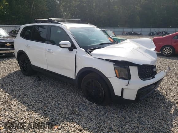 ✅ 2024 Kia Telluride SX Prestige X-Line • VIN: 5XYP5DGCXRG496293 • Lot: 65825045. Listed on Copart with Not provided. Free auction sales archive from the USA and detailed vehicle history report at DreamBid. Image 4.