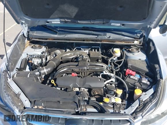 ✅ 2015 Subaru Crosstrek Premium • VIN: JF2GPAFC9F8283639 • Lot: 43216249. Wystawiony na IAAI z przebiegiem 63 905 mil. Bezpłatny archiwum sprzedaży aukcyjnych z USA i szczegółowy raport historii pojazdu na DreamBid. Zdjęcie 10.