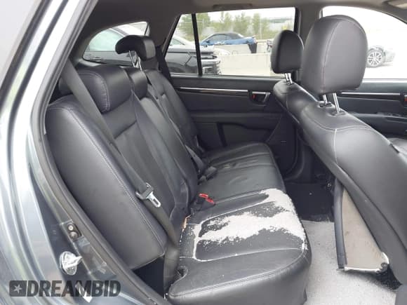 ✅ 2009 Hyundai Santa Fe Limited • VIN: 5NMSH13E39H325673 • Lot: 43173498. Listed on IAAI with 159,417 mi. Free auction sales archive from the USA and detailed vehicle history report at DreamBid. Image 8.