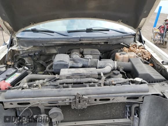 ✅ 2009 Ford F-150 XLT • VIN: 1FTRX12V39FA65534 • Лот: 60690005. Опубликован ранее на Copart с пробегом 77 230 миль. Бесплатный доступ к архиву аукционных продаж из США и подробный отчёт об истории автомобиля на DreamBid. Изображение 11.