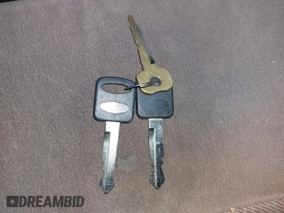 ✅ 1995 Ford F-150 • VIN: 1FTEX14N5SKA72929 • Lot: 43503066. Listed on IAAI with 182,746 mi. Free auction sales archive from the USA and detailed vehicle history report at DreamBid. Image 11.