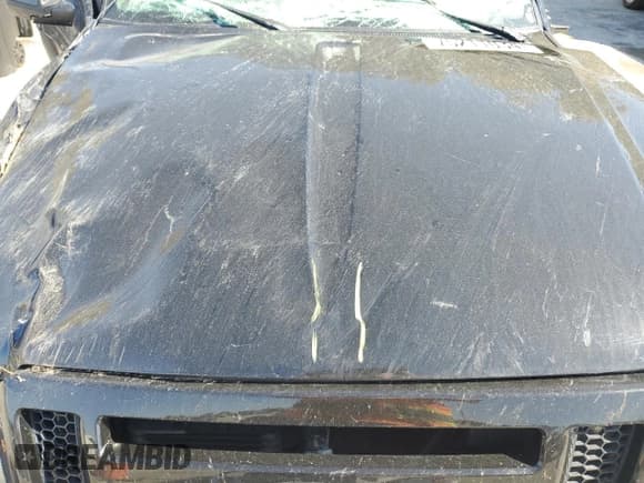 ✅ 2006 Ford Ranger STX • VIN: 1FTYR44E26PA20434 • Lot: 44458215. Listed on Copart with 117,619 mi. Free auction sales archive from the USA and detailed vehicle history report at DreamBid. Image 11.