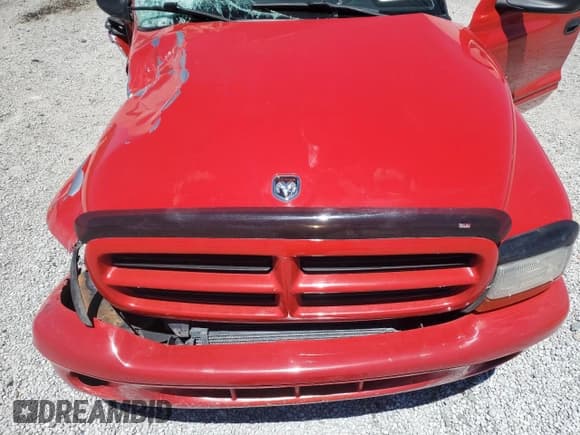 ✅ 2001 Dodge Durango • VIN: 1B4HS28NX1F552741 • Lot: 60312635. Wystawiony na Copart z przebiegiem Nie podano. Bezpłatny archiwum sprzedaży aukcyjnych z USA i szczegółowy raport historii pojazdu na DreamBid. Zdjęcie 11.