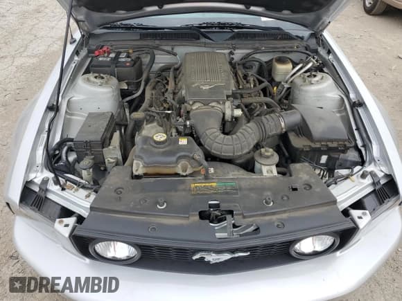 ✅ 2007 Ford Mustang GT Deluxe • VIN: 1ZVHT85H275317196 • Lot: 65125284. Listed on Copart with 68,240 mi. Free auction sales archive from the USA and detailed vehicle history report at DreamBid. Image 11.