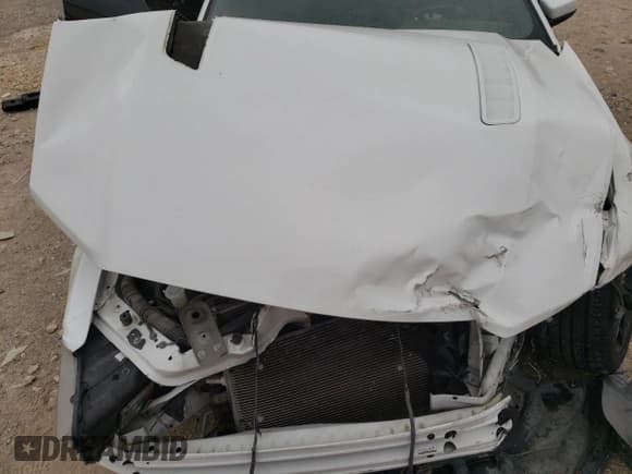 ✅ 2014 Ford Mustang GT • VIN: 1ZVBP8CF5E5332381 • Lot: 55021215. Listed on Copart with 140,692 mi. Free auction sales archive from the USA and detailed vehicle history report at DreamBid. Image 11.