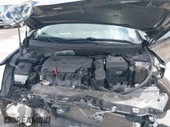 2019 Hyundai Sonata SE with VIN 5NPE24AF8KH747006, listed as a IAAI auction lot 41956094 with 79,024 mi miles and . Bid and sale history available at DreamBid. Image 10.