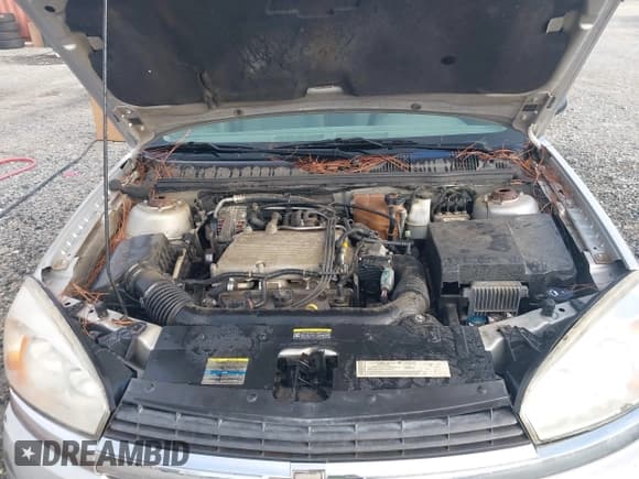 ✅ 2005 Chevrolet Malibu LS • VIN: 1G1ZT548X5F153851 • Lot: 43556340. Listed on IAAI with 215,130 mi. Free auction sales archive from the USA and detailed vehicle history report at DreamBid. Image 10.