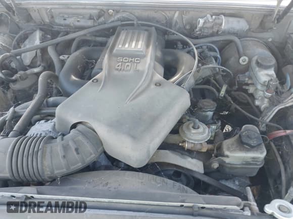 ✅ 1998 Ford Explorer XL • VIN: 1FMZU32E8WZC22954 • Лот: 42805072. Опубликован ранее на IAAI с пробегом 244 775 миль. Бесплатный доступ к архиву аукционных продаж из США и подробный отчёт об истории автомобиля на DreamBid. Изображение 10.