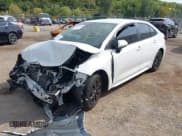 ✅ 2024 Toyota Corolla LE • VIN: JTDB4MEE8R3019397 • Lot: 43206910. Wystawiony na IAAI z przebiegiem 67 117 mil. Bezpłatny archiwum sprzedaży aukcyjnych z USA i szczegółowy raport historii pojazdu na DreamBid. Zdjęcie 2.