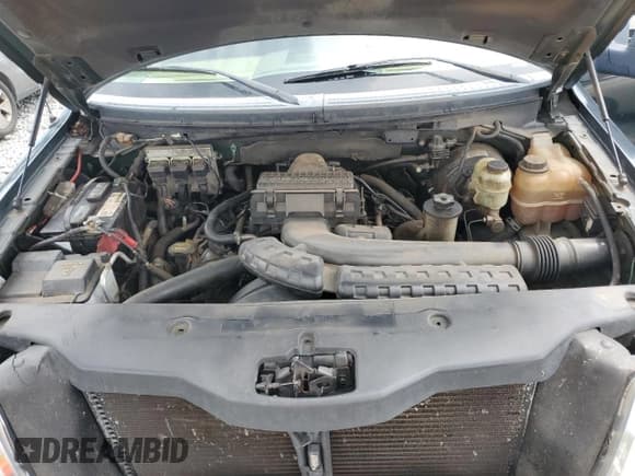 ✅ 2005 Ford F-150 XLT • VIN: 1FTPW12575KE35962 • Lot: 58705695. Listed on Copart with 272,319 mi. Free auction sales archive from the USA and detailed vehicle history report at DreamBid. Image 11.