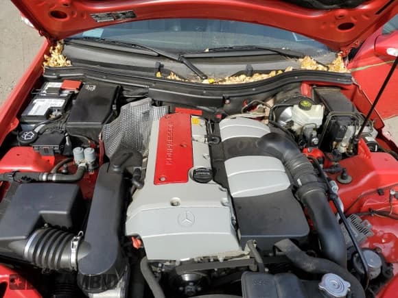 ✅ 2002 Mercedes-Benz SLK 230 Kompressor • VIN: WDBKK49F22F249805 • Лот: 71058304. Опубликован ранее на Copart с пробегом 57 850 миль. Бесплатный доступ к архиву аукционных продаж из США и подробный отчёт об истории автомобиля на DreamBid. Изображение 11.