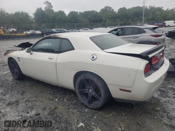 ✅ 2009 Dodge Challenger R/T • VIN: 2B3LJ54T89H603607 • Lot: 72808404. Wystawiony na Copart z przebiegiem Nie podano. Bezpłatny archiwum sprzedaży aukcyjnych z USA i szczegółowy raport historii pojazdu na DreamBid. Zdjęcie 2.