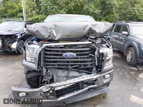 ✅ 2017 Ford F-150 XL • VIN: 1FTEX1EPXHFB91349 • Lot: 42865474. Listed on IAAI with 27,502 mi. Free auction sales archive from the USA and detailed vehicle history report at DreamBid. Image 12.